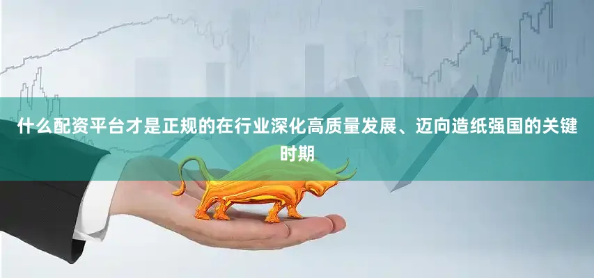 什么配资平台才是正规的在行业深化高质量发展、迈向造纸强国的关键时期