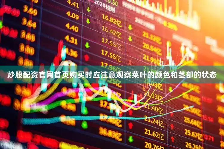 炒股配资官网首页购买时应注意观察菜叶的颜色和茎部的状态